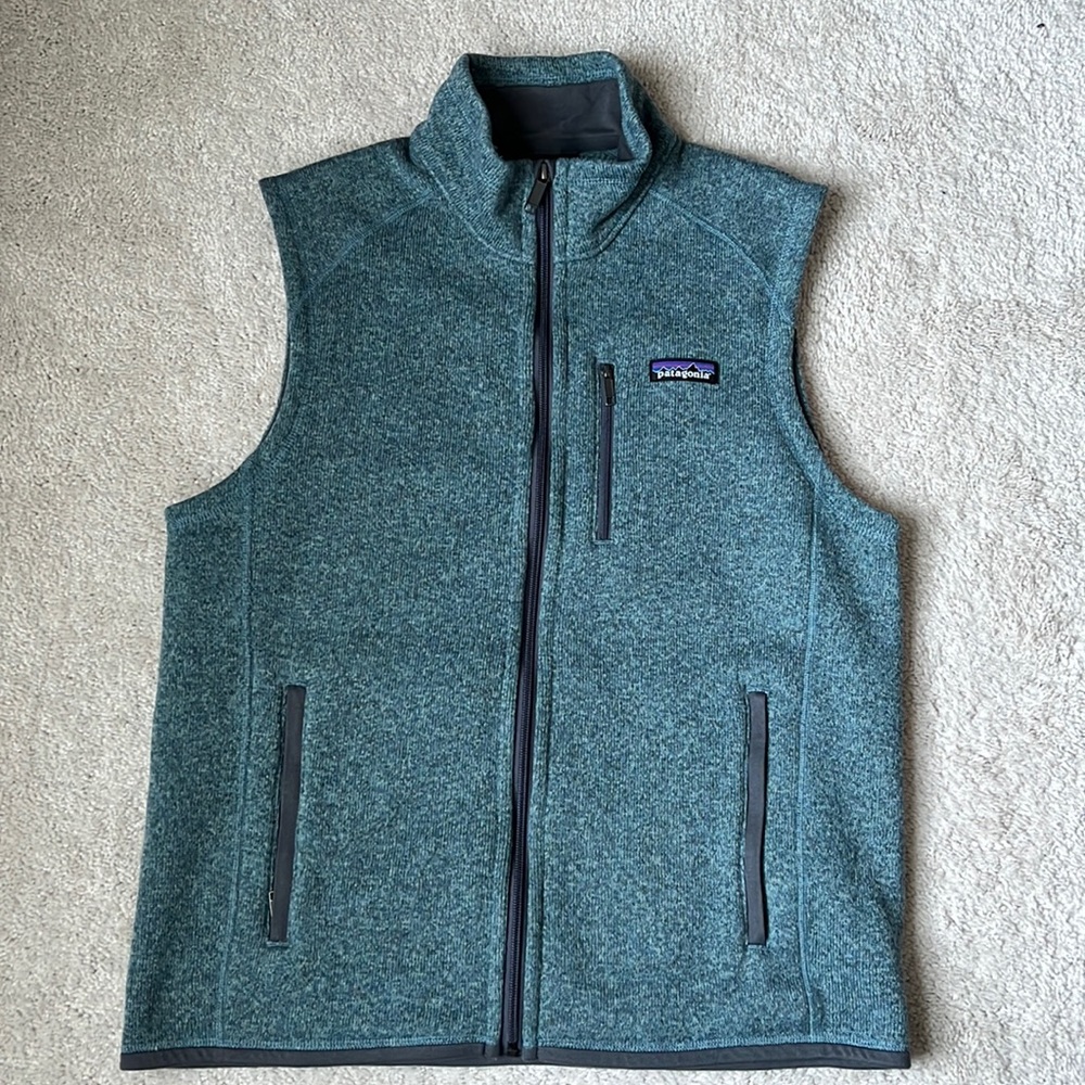 Mens Patagonia Vest